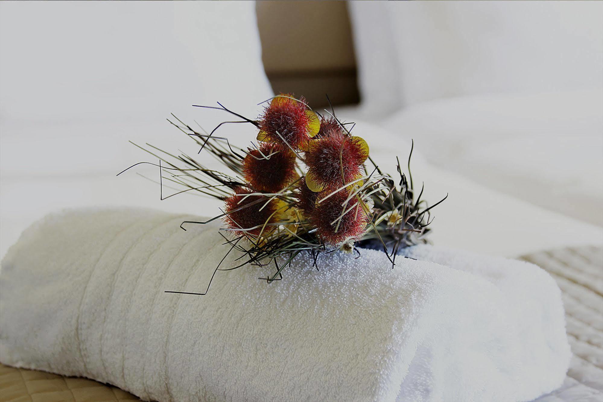 Diogenis Hotel Ермополи Екстериор снимка